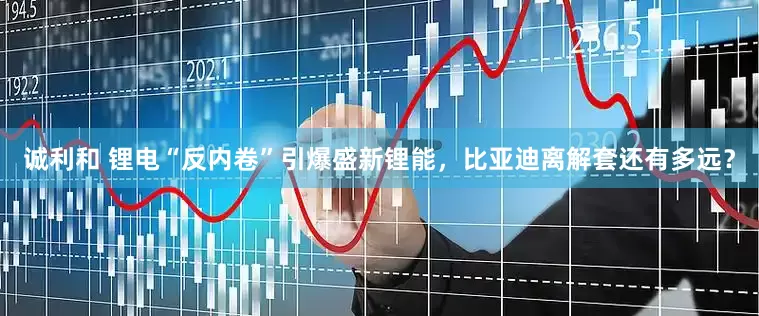 诚利和 锂电“反内卷”引爆盛新锂能，比亚迪离解套还有多远？